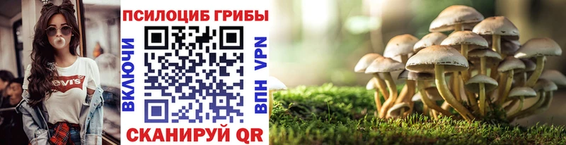 Псилоцибиновые грибы Cubensis  Фокино 